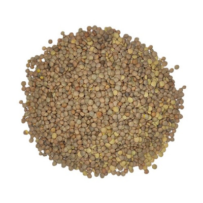 Pardina lentils, in bulk organic